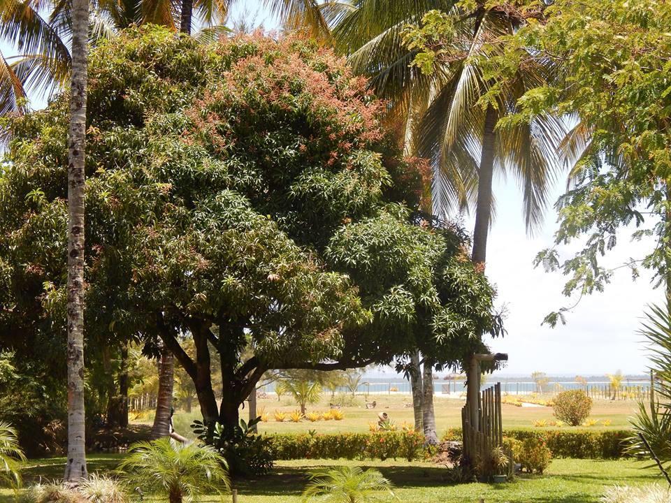 Pousada Aguazul Marau (Bahia) Bagian luar foto